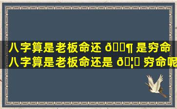 八字算是老板命还 🐶 是穷命（八字算是老板命还是 🦅 穷命呢）